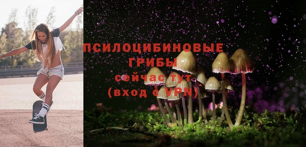 кристаллы Богданович