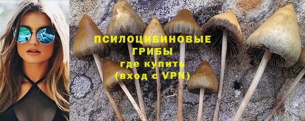кристаллы Богданович