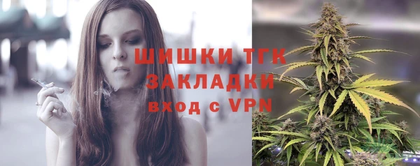 молекула духа Ростов